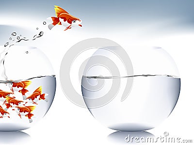 Goldfish jumping Stock Photo