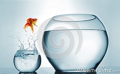 Goldfish jumping in a bigger bowl - aspiration and achievement concept Cartoon Illustration