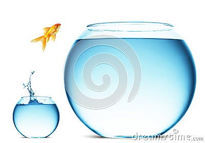Goldfish jumping from bowl Stock Photo
