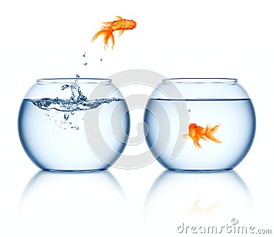 Goldfish jumping out bowl Stock Photo