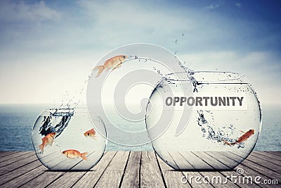 Goldfish jumping out to aquarium with opportunity text Stock Photo