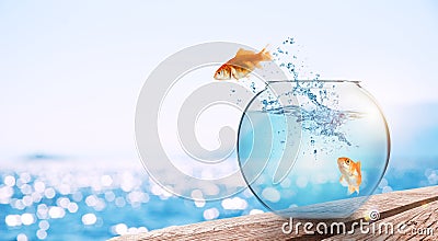 Goldfish leaps out of the aquarium to throw itself into the sea Stock Photo