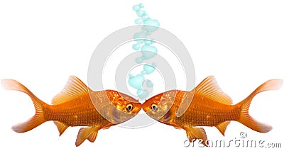 Goldfish In Love Stock Photo