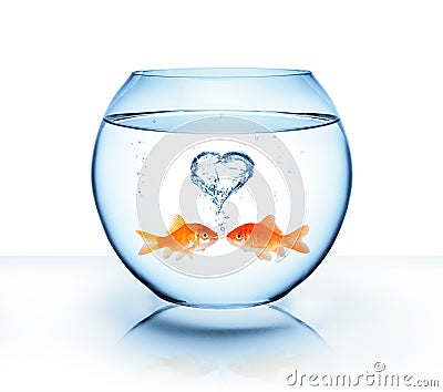 Goldfish in love Stock Photo