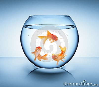 Goldfish in recycle concept Stock Photo