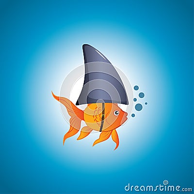 Goldfish Shark Vector Illustration