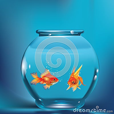 goldfishes in aquarium. Vector illustration decorative design Vector Illustration