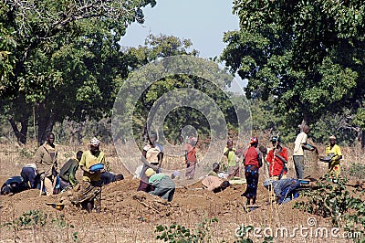 With the goldmine of Poura Editorial Stock Photo