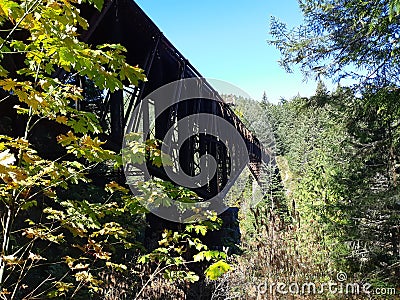Cantilever style bridge in the forest Stock Photo