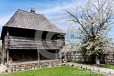 Golesti Museum. Museum of Viticulture and Pomiculture Editorial Stock Photo