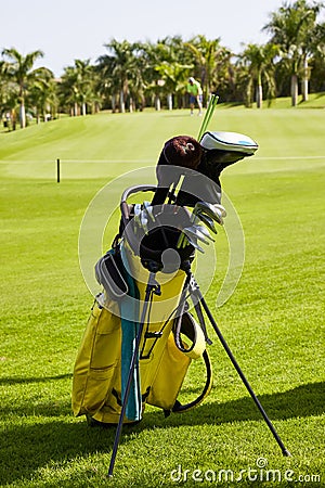 Golf bag and clubs on the edge of the green of a golf course Stock Photo