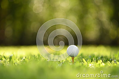 Golf ball on green grass with golf course background Stock Photo