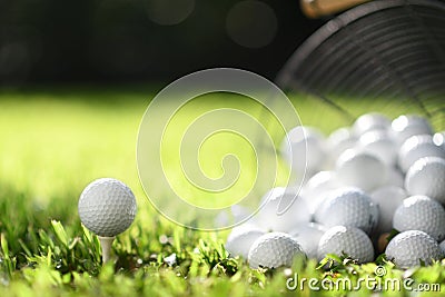 Golf ball on tee and golf balls in basket on green grass for practice Stock Photo