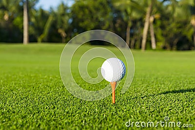 Golf ball on tee on golf course over a blurred green field. Stock Photo