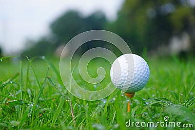 Golf ball and tee with gold course background ready to tee off Stock Photo