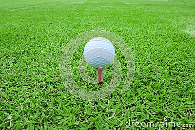 Golf ball on a tee in green grass course Stock Photo