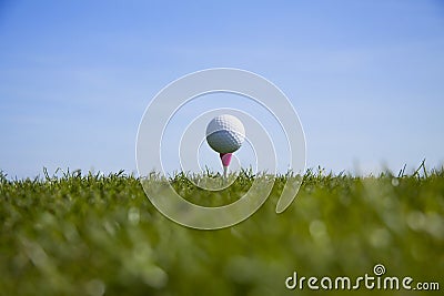 Golf ball tee up Stock Photo