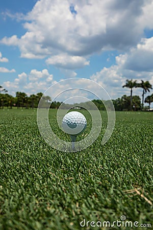 Golf ball teed up on a tee on the green under a blue sky Stock Photo