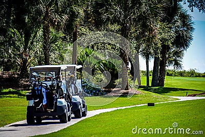 Golf cart in tropical scenery, palm trees and green grass during summer tournament in South Carolina Editorial Stock Photo