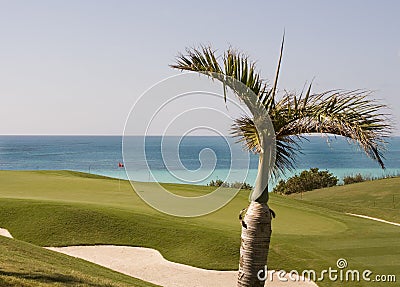 Golf Course in Bermuda Stock Photo