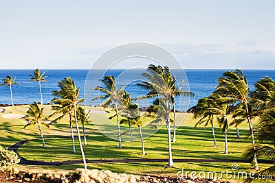 Golf Course in Paradise Stock Photo