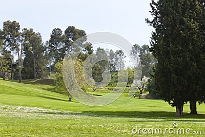 Golf course in spring Stock Photo