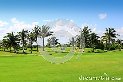 Golf course tropical palm trees Mexico Stock Photo