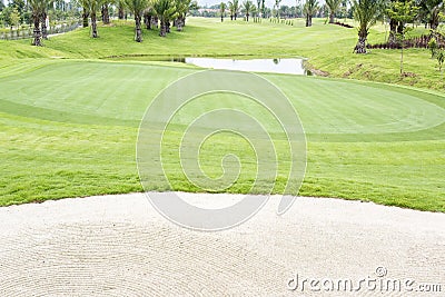 Golf courses , green grass Stock Photo