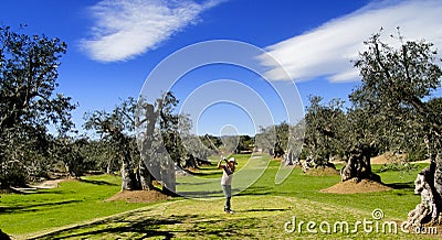 Golf player in the Olive Grove Stock Photo