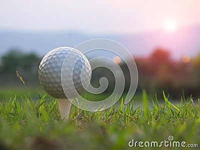 Golf on the white tee On the green lawn there is sunshine. Stock Photo