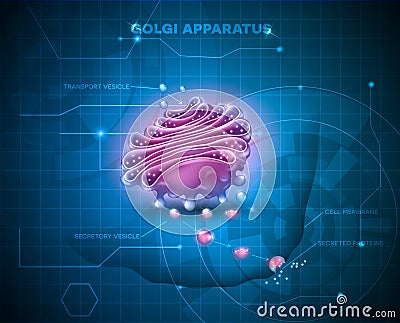 Golgi apparatus abstract technology background Vector Illustration