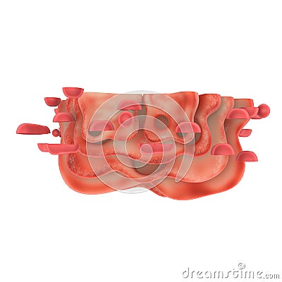 Golgi apparatus Stock Photo