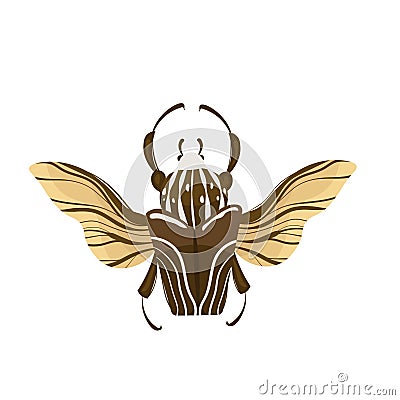 Goliath beetle Goliathus cacicus Cartoon Illustration