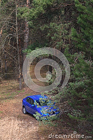 GOMEL, BELARUS - 8 April 2017: Car Renault Logan blue parked in a pine forest Editorial Stock Photo