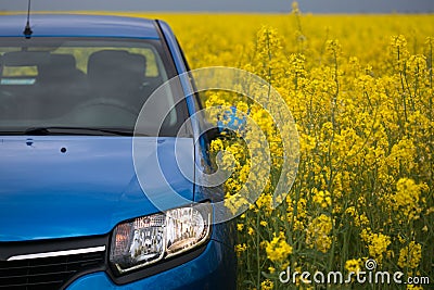 GOMEL, BELARUS - May 24, 2017: the blue car is parked on the rapeseed field. Editorial Stock Photo