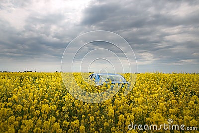 GOMEL, BELARUS - May 24, 2017: the blue car is parked on the rapeseed field. Editorial Stock Photo