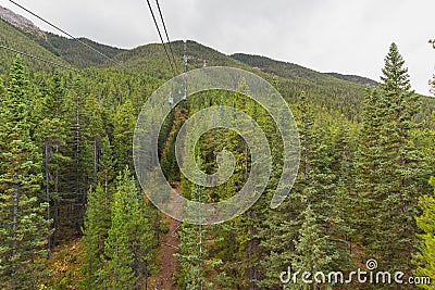 Gondola view of green pine forest route to Sulphur mountain in summer at Banff national park of Alberta, Canada Stock Photo