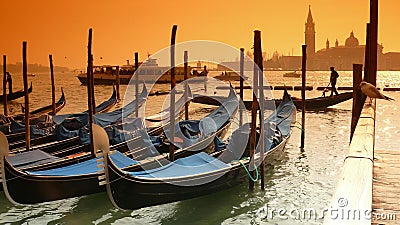 Gondolas and a seagull Stock Photo