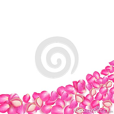 Gone with the Wind rose petals. Realistic vector pink petals on transparent background. Vector Illustration