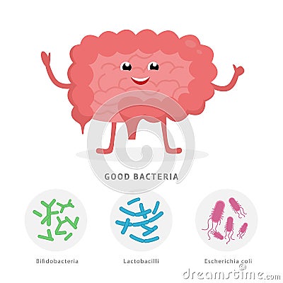 Good bacteria concept illustration, healthy intestine cartoon character isolated on white background. Gut microflora Vector Illustration