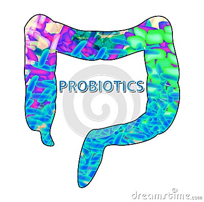 Good bacteria flora in the colon. Probiotic, prebiotic, synbiotic, lactobacillus, bifidobacterium. Infographics. Vector Vector Illustration