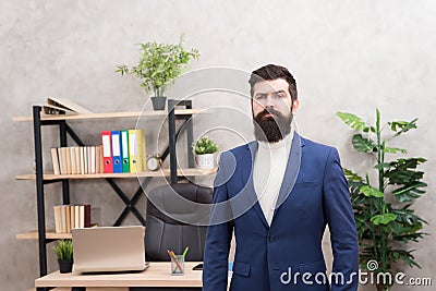 Good boss is good leader. Man bearded hipster boss looking at you with attention. Boss standing in office. Boss receive Stock Photo