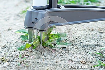 A good example of a weed removal tool. Capture a plant along with a root from the soil Stock Photo