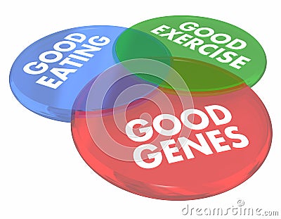 Good Genes Eating Living Long Life Health Venn Diagram 3d Illustration Stock Photo