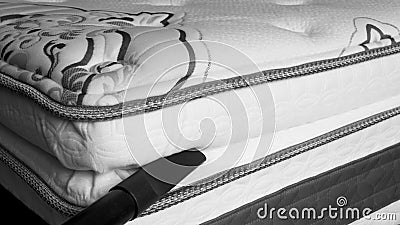 Mattress Cleaning - Bed Bug and Dust Mite Prevention Stock Photo