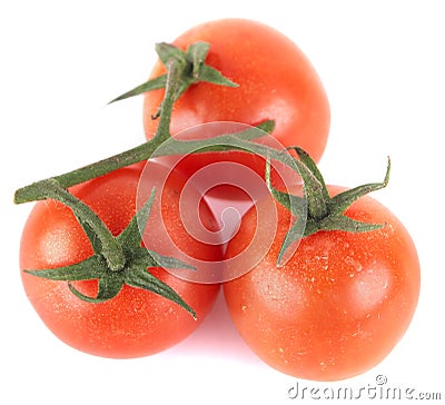 Good looking tomatoes Stock Photo