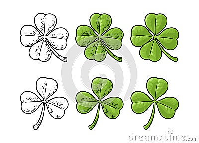 Good luck four and three leaf clover. Vintage vector engraving Vector Illustration