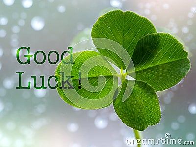 Good Luck - inspirational motivation quote Stock Photo