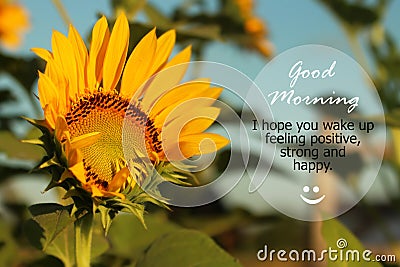 Good Morning Greetings. Morning inspirational motivational quote - I hope you wake up feeling positive, strong and happy. With Stock Photo