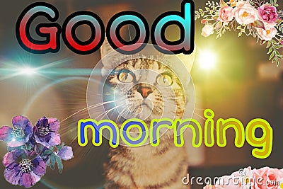 Good morning picture Stock Photo